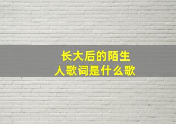 长大后的陌生人歌词是什么歌