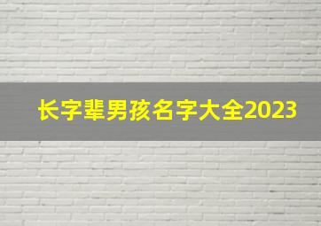 长字辈男孩名字大全2023