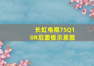 长虹电视75Q10R后面板示意图