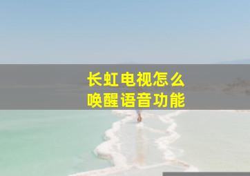 长虹电视怎么唤醒语音功能