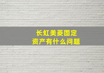 长虹美菱固定资产有什么问题