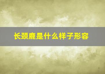 长颈鹿是什么样子形容