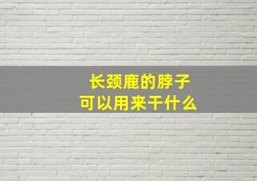 长颈鹿的脖子可以用来干什么