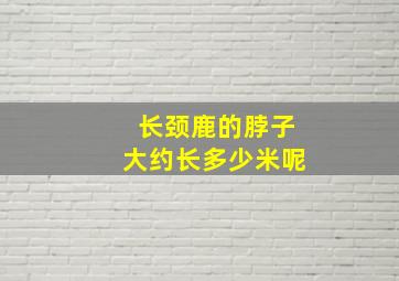 长颈鹿的脖子大约长多少米呢