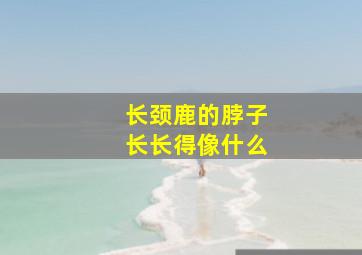 长颈鹿的脖子长长得像什么