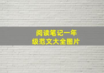 阅读笔记一年级范文大全图片