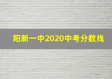 阳新一中2020中考分数线