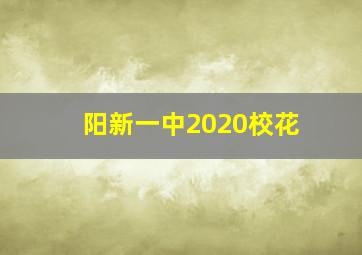 阳新一中2020校花