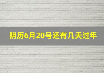 阴历6月20号还有几天过年