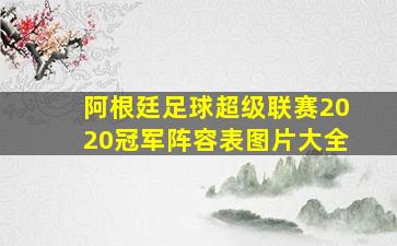 阿根廷足球超级联赛2020冠军阵容表图片大全