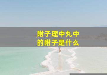 附子理中丸中的附子是什么