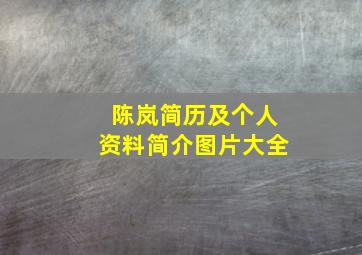 陈岚简历及个人资料简介图片大全