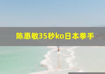 陈惠敏35秒ko日本拳手