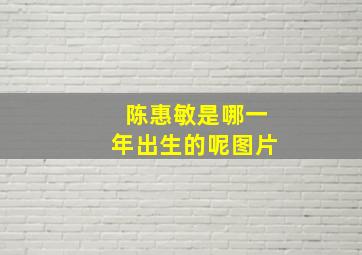 陈惠敏是哪一年出生的呢图片