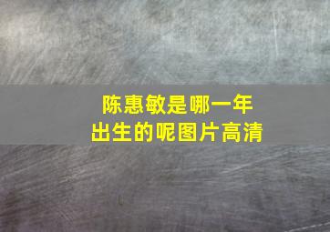 陈惠敏是哪一年出生的呢图片高清