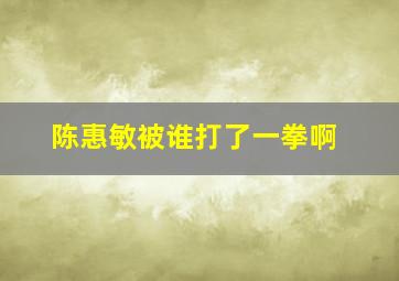 陈惠敏被谁打了一拳啊