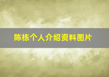 陈栋个人介绍资料图片