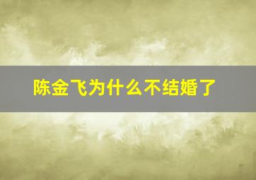 陈金飞为什么不结婚了