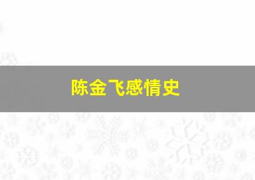 陈金飞感情史