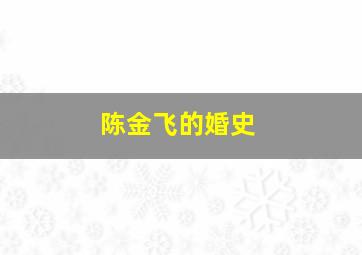 陈金飞的婚史