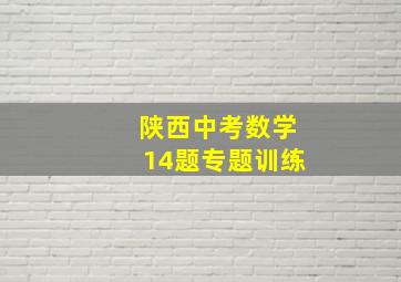 陕西中考数学14题专题训练