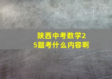 陕西中考数学25题考什么内容啊