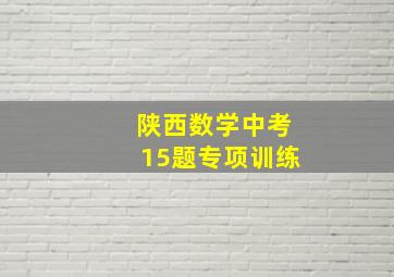 陕西数学中考15题专项训练