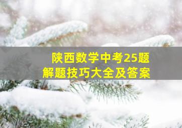 陕西数学中考25题解题技巧大全及答案