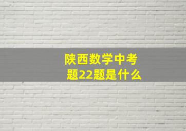 陕西数学中考题22题是什么