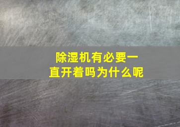 除湿机有必要一直开着吗为什么呢