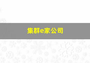 集群e家公司