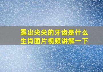 露出尖尖的牙齿是什么生肖图片视频讲解一下