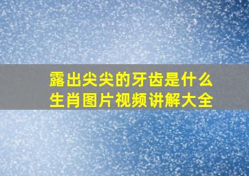 露出尖尖的牙齿是什么生肖图片视频讲解大全