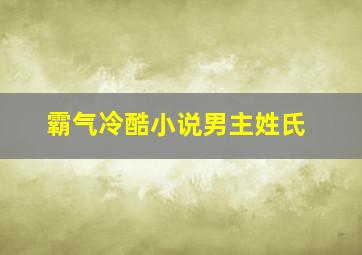 霸气冷酷小说男主姓氏