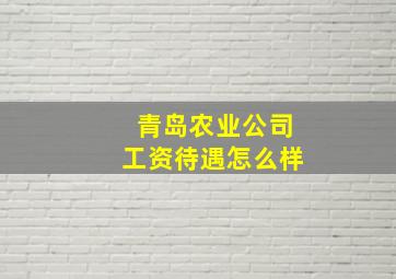 青岛农业公司工资待遇怎么样