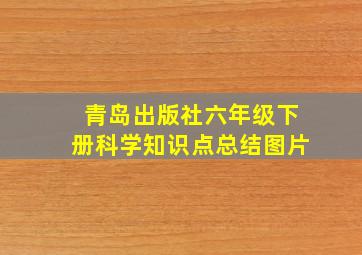 青岛出版社六年级下册科学知识点总结图片