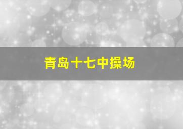 青岛十七中操场