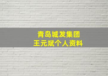 青岛城发集团王元斌个人资料