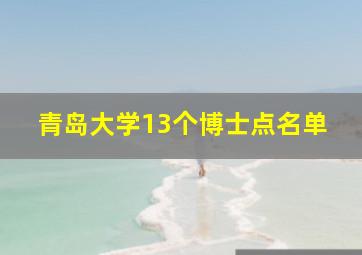 青岛大学13个博士点名单