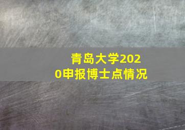 青岛大学2020申报博士点情况