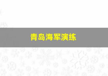 青岛海军演练