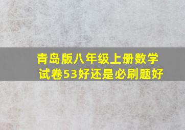 青岛版八年级上册数学试卷53好还是必刷题好