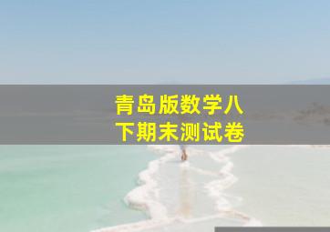 青岛版数学八下期末测试卷