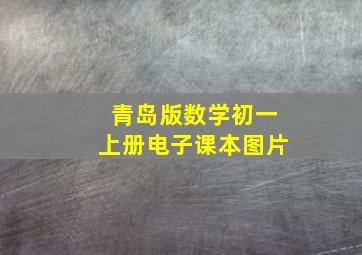 青岛版数学初一上册电子课本图片