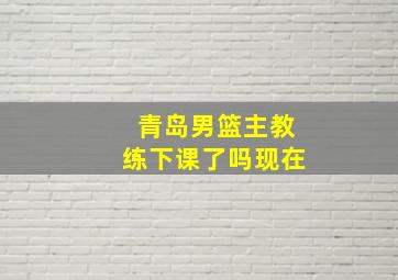 青岛男篮主教练下课了吗现在