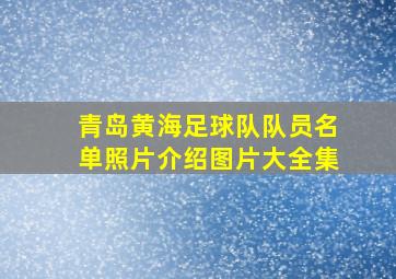 青岛黄海足球队队员名单照片介绍图片大全集