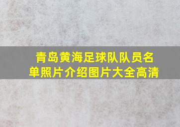 青岛黄海足球队队员名单照片介绍图片大全高清