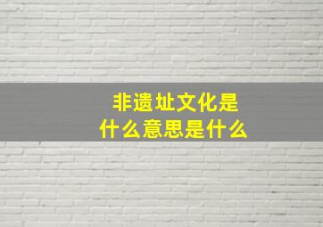 非遗址文化是什么意思是什么