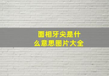 面相牙尖是什么意思图片大全