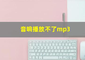 音响播放不了mp3